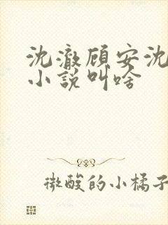 沈澈顾安沈清的小说叫啥封面