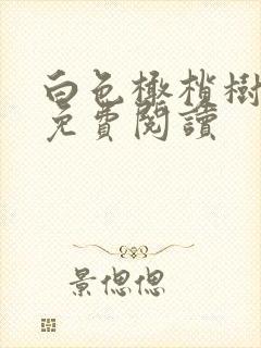 白色橄榄树全文免费阅读封面