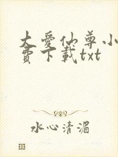 大爱仙尊小说免费下载txt封面