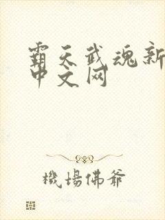 霸天武魂新八一中文网封面
