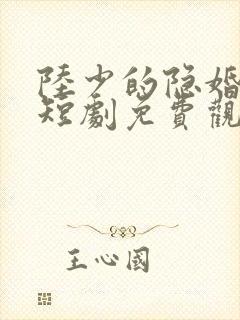 陆少的隐婚罪妻短剧免费观看封面
