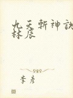九天斩神诀一一林辰封面