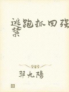 逃跑抓回强制囚禁封面