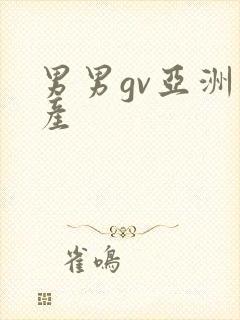 男男gv亚洲国产