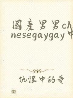 国产男男chinesegaygay中国帅哥网站