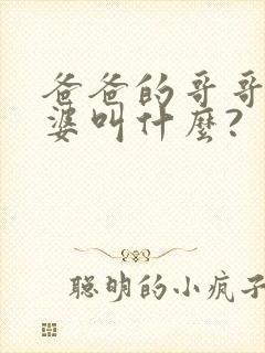 爸爸的哥哥的老婆叫什么?