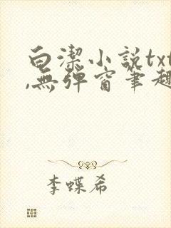 白洁小说txt,无弹窗笔趣阁封面