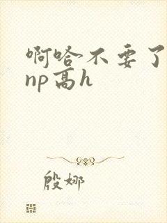 啊哈不要了男男np高h
