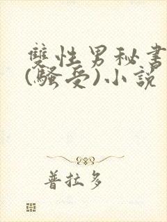 双性男秘书巨乳(骚受)小说