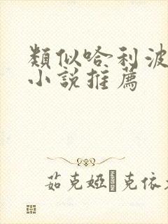 类似哈利波特的小说推荐封面