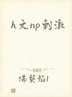 h文np刺激