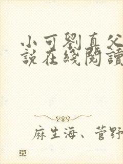 小可刘真父女小说在线阅读