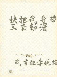 快把我哥带走第三季动漫封面