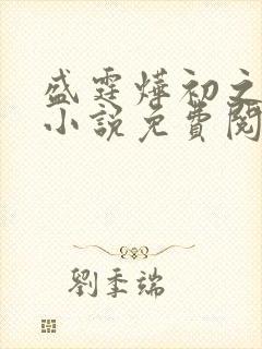 盛霆烨初之心的小说免费阅读