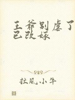 王爷别虐了王妃已改嫁