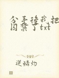 分手后我把渣攻囚禁了txt