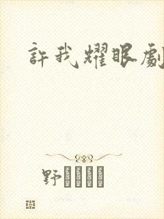 许我耀眼剧情