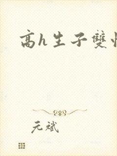 高h生子双性封面