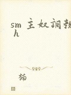 sm 主奴调教 h