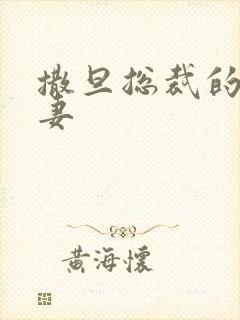 撒旦总裁的下堂妻
