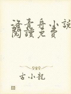 洛青舟小说在线阅读免费封面