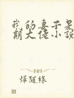 我的妻子是大乘期大佬小说免费阅读