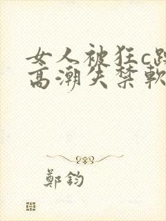 女人被狂c躁到高潮失禁软件