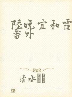 陆晚宜和霍行衍番外