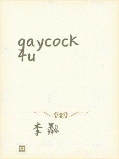 gaycock4u封面