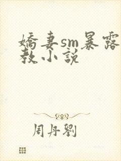 娇妻sm暴露调教小说