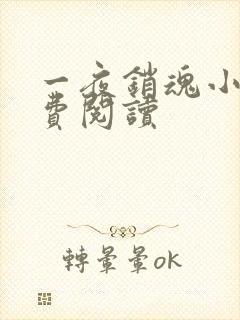 一夜销魂小说免费阅读
