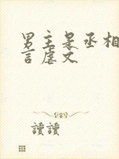 男主是丞相的古言虐文
