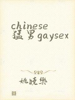 chinese猛男gaysex