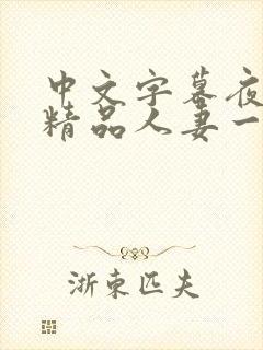 中文字幕夜夜嗨精品人妻一区二区