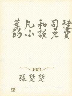 叶凡和司徒嫣然的小说免费阅读封面