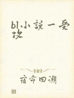 bl小说一受多攻封面