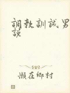 调教训诫男男小说