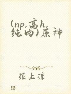 (np,高h,纯肉)原神