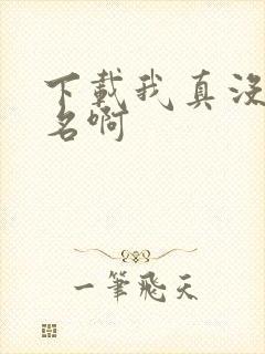 下载我真没想出名啊