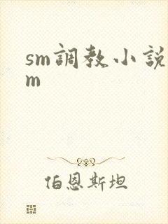 sm调教小说男m