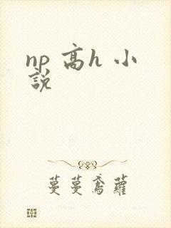 np 高h 小说