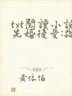 txt阅读小说先婚后爱:总裁老公狂宠妻
