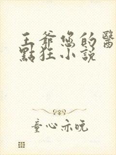王爷您的医妃有点狂小说