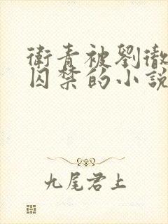 卫青被刘彻锁住囚禁的小说