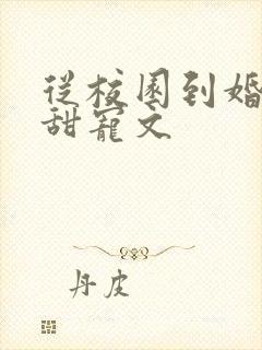 从校园到婚纱的甜宠文