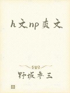 h文np爽文