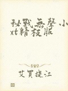 秘战无声小说txt精校版