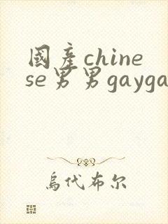国产chinese男男gaygay网站网约