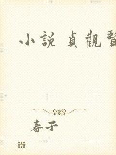 小说 贞观贤王封面