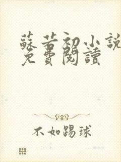 苏若初小说全文免费阅读